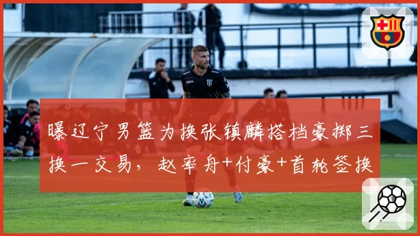 曝辽宁男篮为换张镇麟搭档豪掷三换一交易,赵率舟+付豪+首轮签换邹雨宸遭北控否决